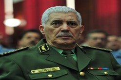 تكوين المكوِّنين عند بوسطيلة