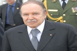 بوتفليقة‮ ‬يعود إلى معرض الكتاب‮ ‬