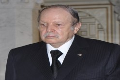 لكل شهيد شجرة