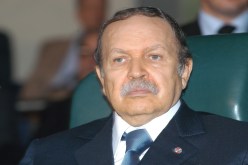 السيناتور‮.. ‬حلم معالي‮ ‬الوزير