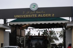 رئيس جامعة «ما يحبش اللي ينبش  »