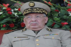 ڤايد صالح والتجربة الروسية