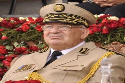 الجيش يغرس شجرة التعايش بغرداية