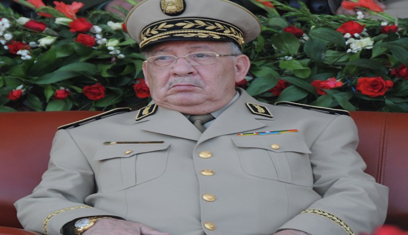 شجرة لكل مواطن.. هدية من الجيش
