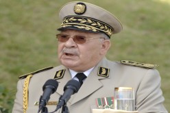 ڤايـد صـالـح في قطـر
