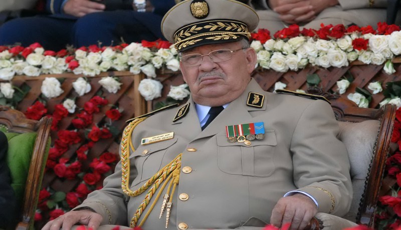 الجيش كون 135 طيار خلال 5 سنوات