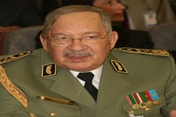 العسكــر‮ ‬يفضــّل الألمـــان علـــى الصينيين