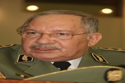 حملة تحسيسية للجيش ضد حرائق الغابات