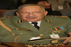 تهنئة خاصة لأفراد الجيش‮ ‬