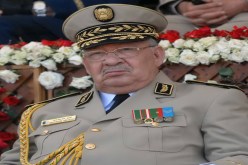 إفريقيا فخورة بقوّة جيشنا‮ ‬