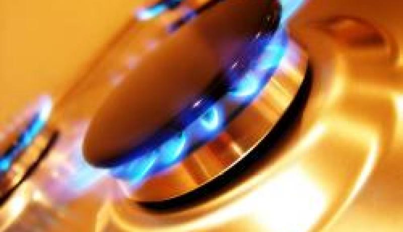 غاز المدينة لحظائر الدّجاج في‮ ‬باتنة‮!‬