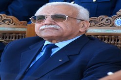 ڤنايزية باباها في الحرب ضد إسرائيل
