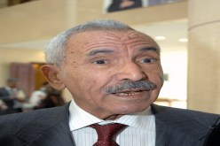 حمداني يعود مع التشريعيات