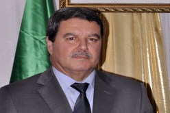 شهادة عائد من مصر