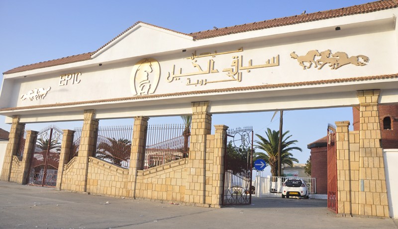 ماذا يحدث في نادي الفروسية