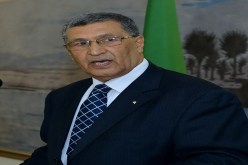 ماحي ضد طمع النواب