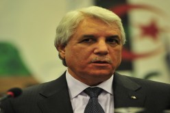 لوح يبدأ العام الجديد من عين الدفلى
