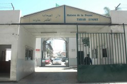 عمالقة الصحافة في النهار.. شياتين في الليل