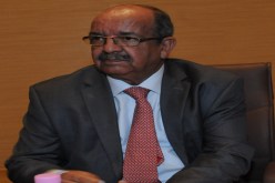 مساهل يستنجد بالتجربة الأمريكية