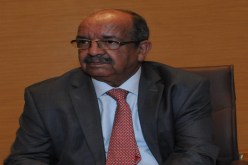 قواعد اللعبة عند مساهل
