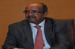 مساهل على طريقة سلال