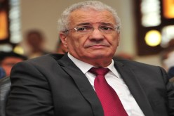 محمد السعيد يكثّف النشاط