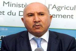 نوري يعود الى الغرب