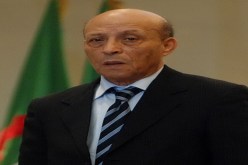 برلماني‮ ‬من نوع خاص
