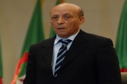 ولد خليفة بين السياسة والتأليف