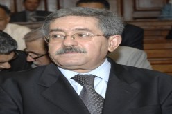 لا خطر على الجزائر
