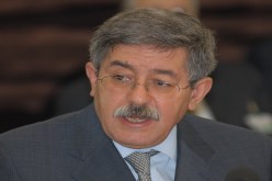 الحكومة تبارك الزواج