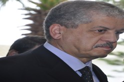 رعب في المدية بسبب سلال