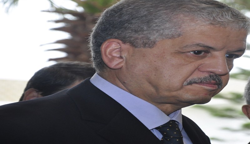 رعب في المدية بسبب سلال