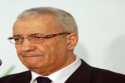 أين ولد محمد السعيد ؟‮!‬