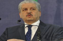 سلال لتشغيل شباب تيارت
