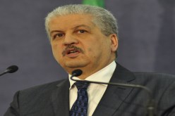 ''‬اليتيمة‮'' ‬لا تهتـم بسـلال
