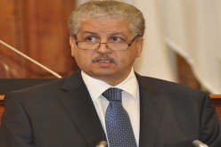 سلال دائما يتفاءل خيرا