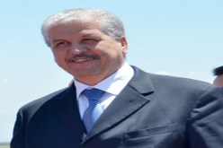 سلال.. وأخلاق الفرسان