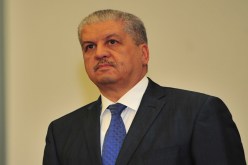 سلال ..”راها في الفايدة “