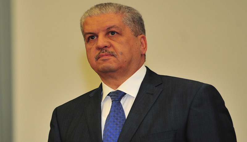 سلال ..”راها في الفايدة “