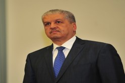 سلال في عين تموشنت وتلمسان