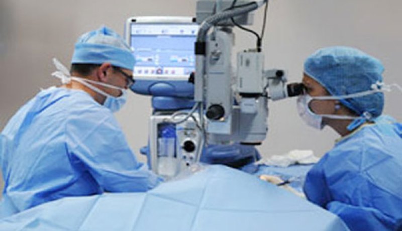 قرنية خنزير تعيد الرؤية لطفل في الصين