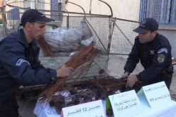 أم البواقي..  حجز  12 قنطار من معدن النحاس بعين كرشة