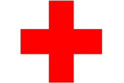 وفد من الصليب الأحمر لبحث تعزيز جهود العمل الإنساني بأقصى الجنوب