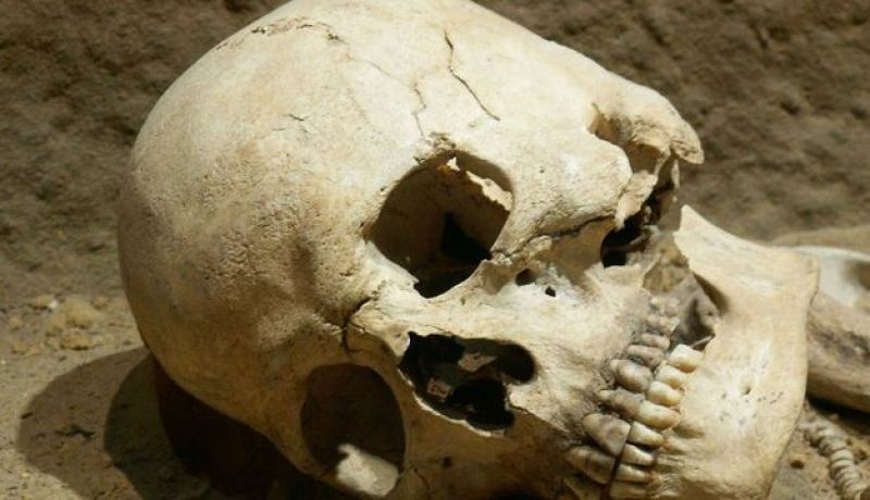 العثور على جمجمة بشرية أثناء أشغال حفر بتندوف