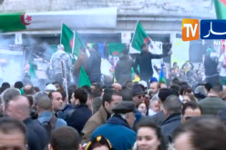 بالصور… الجالية الجزائرية في مسيرات سلمية دعما للحراك الشعبي