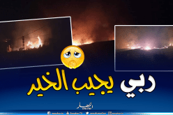 ميلة.. تسجيل إصابتين وألسنة النيران بغابة بني عفاق تحاصر عشرات العائلات