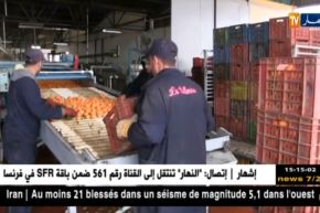 الشلف: توقعات بجني مليون و نصف قنطار من الحمضيات هذا الموسم