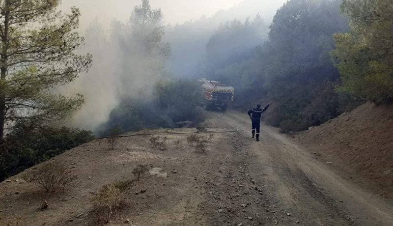 عين الدفلى: إخماد حريق غابة واد الخميس بالعامرة