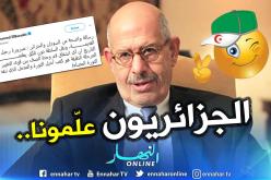 محمد البرادعي: “الجزائريون علمونا أن وحدة الصف ضرورية لتحقيق الأهداف”